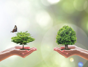 7月和1-7月全國(guó)地表水、環(huán)境空氣質(zhì)量狀況